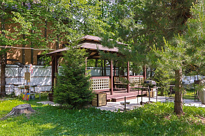 Элегантное обновление деревянных построек в Луговом: профессиональная покраска и защита от Лесобиржи-Спб