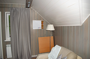 ангарская сосна сорт прима