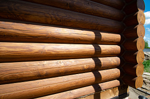 крашеный дом из бревна