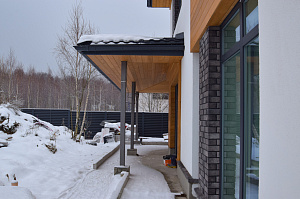 планкен покрашенный