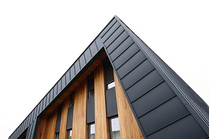 Идеальное решение для нашего климата: термоясень, не боящийся влаги и перепадов температур