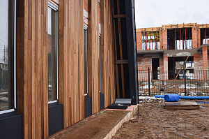 Идеальное решение для нашего климата: термоясень, не боящийся влаги и перепадов температур