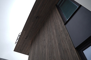 Комбинированный фасад от Лесобиржа-Спб: гармония стиля и долговечности в 