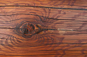 Шестифакторная защита и идеальная гладкость: премиальная покраска бревенчатого дома от ЛесоБиржи - СПб