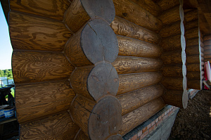 обработка дерева маслом