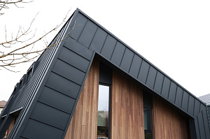 Идеальное решение для нашего климата: термоясень, не боящийся влаги и перепадов температур