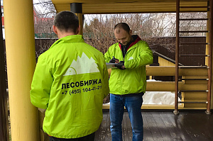 оценка разрушения краски