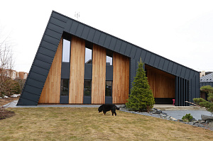 Идеальное решение для нашего климата: термоясень, не боящийся влаги и перепадов температур