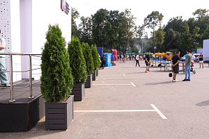 Изящные деревянные кашпо от Лесобиржи-СПб: столярное мастерство для знаковых проектов