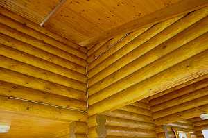 бревно под лкм