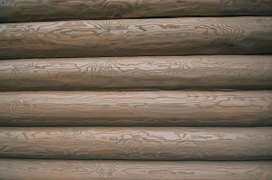 Масло Реннер