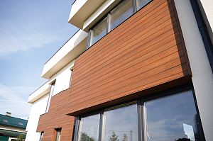 Фасад и баня в стиле 