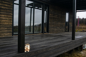 террасная доска под старину