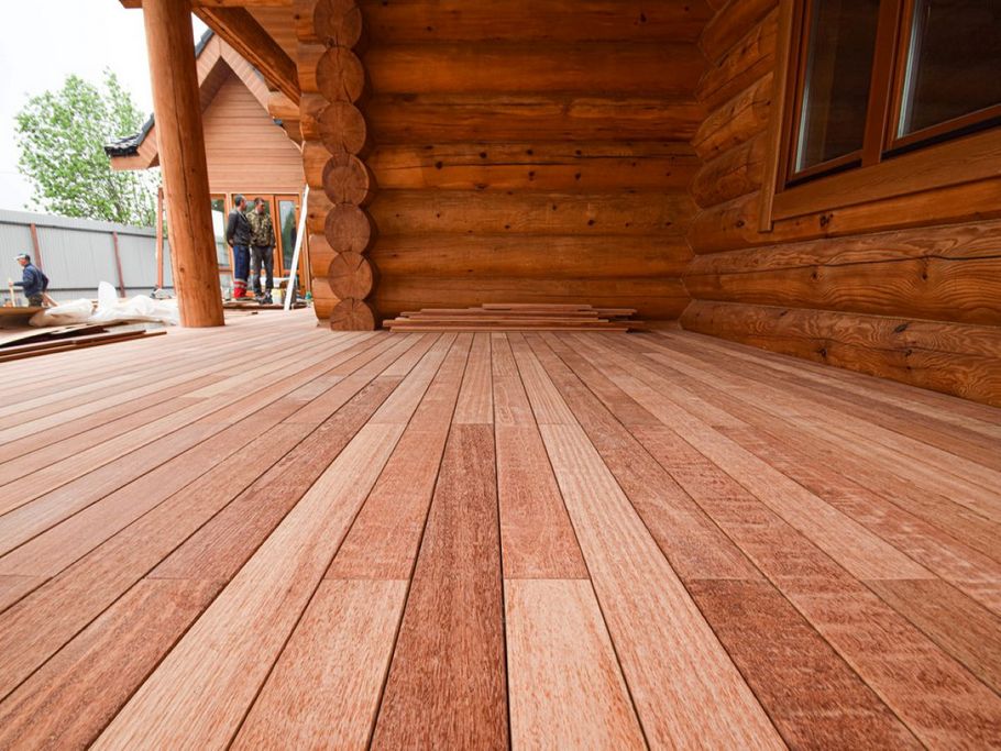 Кемпас — дерево, которое не боится ничего: экзотика с характером на вашей террасе