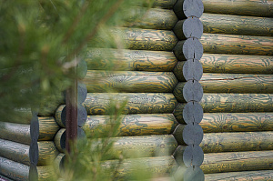 Баня мечты в Бобровом: комплексная отделка и покраска сруба