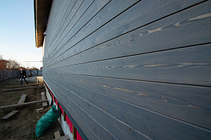 планкен лиственница