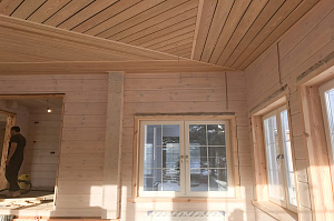 лиственница прима