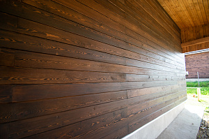 крашеный планкен