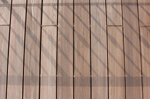 термоясень 1