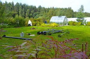 сваи для бани