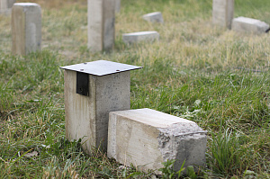 Идеальный баланс функциональности и эстетики: проект бани в Городке на Ладоге от Лесобиржи-Спб