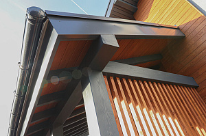 Покраска дорогих домов