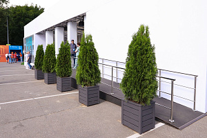 Изящные деревянные кашпо от Лесобиржи-СПб: столярное мастерство для знаковых проектов