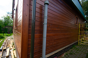 крашеный планкен