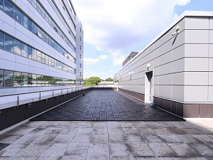 Преображение эксплуатируемой кровли: Терраса из термососны в Ленинградской области