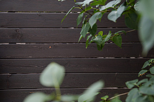 Забор из скошенного планкена в Нижний: Эстетика и долговечность от Лесобиржа-СПб, проверенные временем