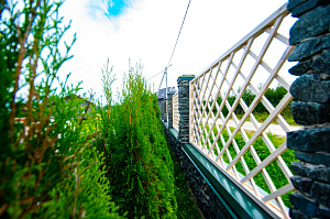 ограждение из шпалер