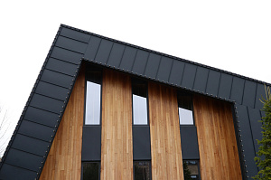 Идеальное решение для нашего климата: термоясень, не боящийся влаги и перепадов температур