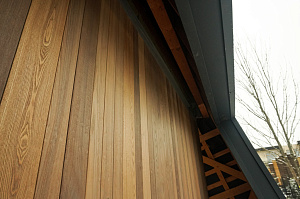 термодерево на фасаде 1