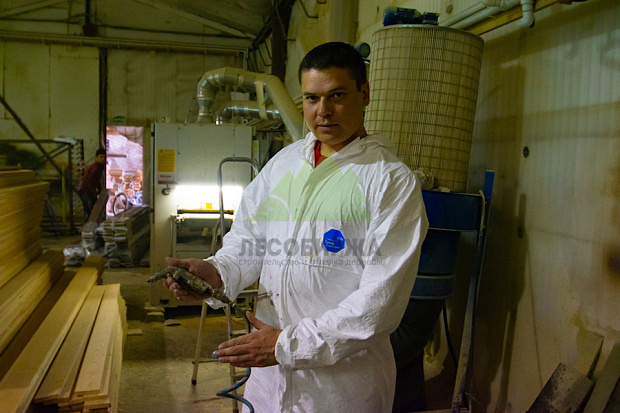 Урок 5. Кисти и краскопульты для покраски древесины в Санкт-Петербурге: как выбрать инструмент под Talatu и Renowood, чтобы получить ровный финиш без «соплей» и мазков