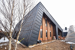 Идеальное решение для нашего климата: термоясень, не боящийся влаги и перепадов температур