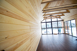 трензал с имитацией бруса на стенах