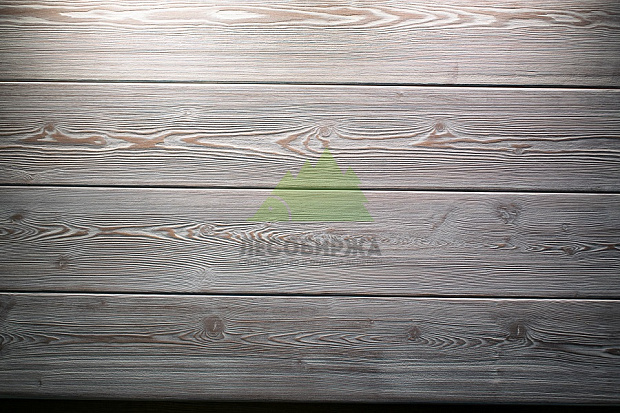 Дерево без плесени: формула защиты Tikkurila для Питера