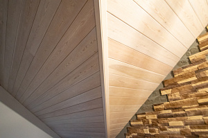 крашенная вагонка составом teknos