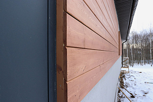 Северная сосна + премиальное масло Renner M300: идеальный дуэт для фасада, который сохранит цвет и форму даже в петербургском климате