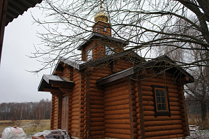 дом покраска