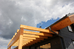 вскрытие пор древесины