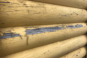 разрушение краски на дереве