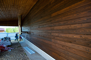 планкен лиственница