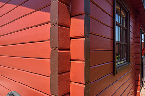 Вишневый фасад и темно-коричневые акценты: история преображения целого участка в Ленинградской области