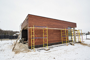 планкен из лиственницы