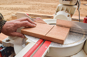 Кемпас — дерево, которое не боится ничего: экзотика с характером на вашей террасе