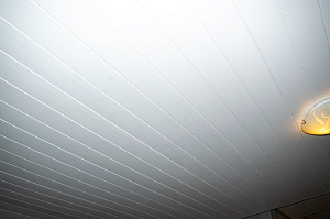 вагонка из сосны ангарской