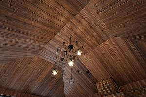 ангарская сосна 1