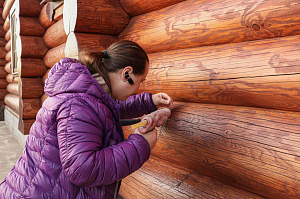 Шестифакторная защита и идеальная гладкость: премиальная покраска бревенчатого дома от ЛесоБиржи - СПб