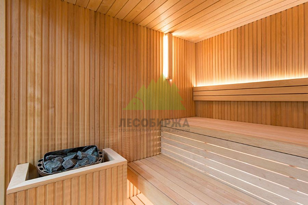 Бюджетная и долговечная отделка ванной комнаты вагонкой: решения для реальных условий